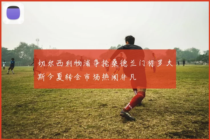 切尔西利物浦争抢桑德兰门将罗夫斯今夏转会市场热闹非凡